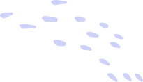 shape 08 2